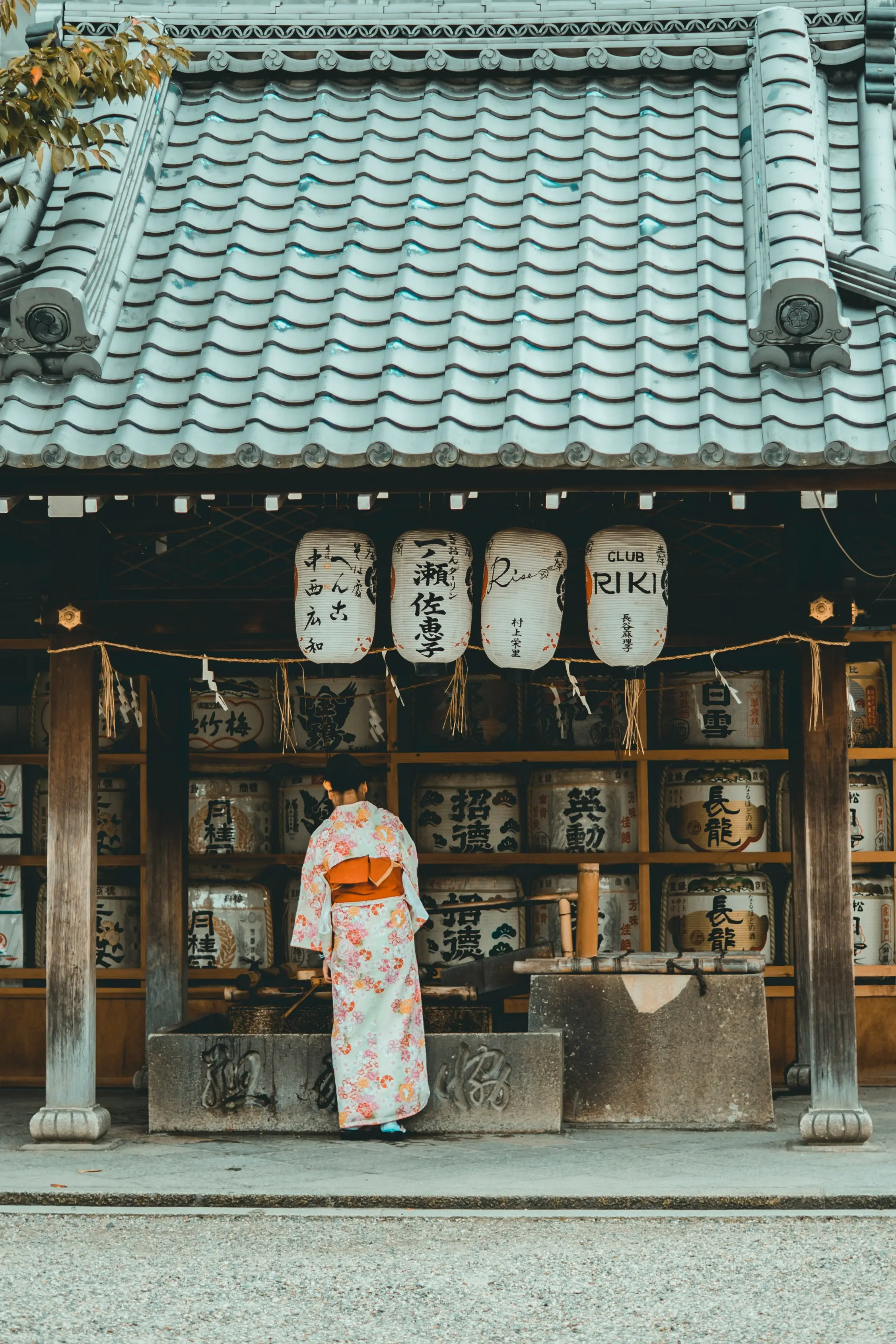Scenic travel view in Japan with a calm, elevated atmosphere
