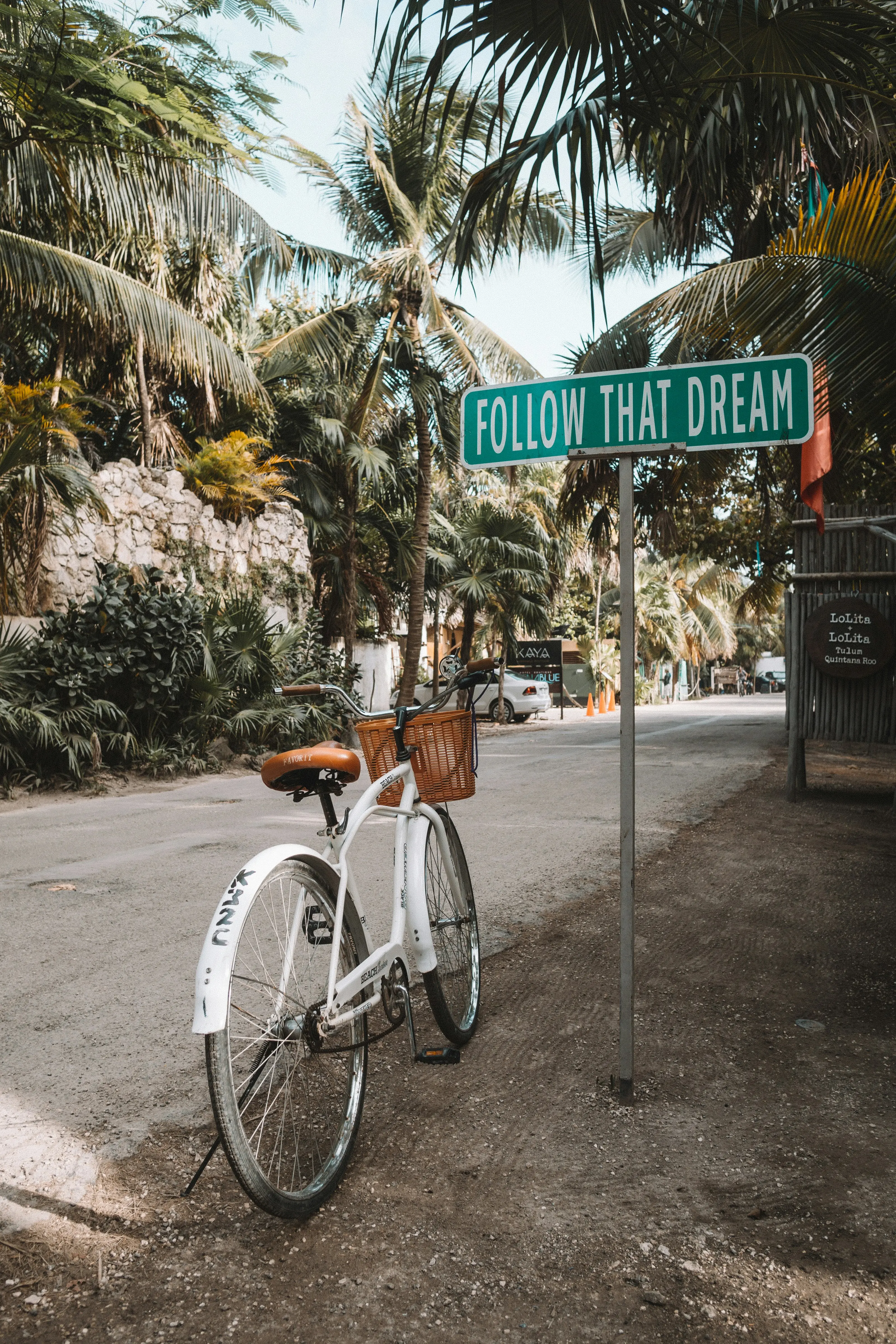 Bicycle parked along a lush tropical path with a relaxed vacation feel