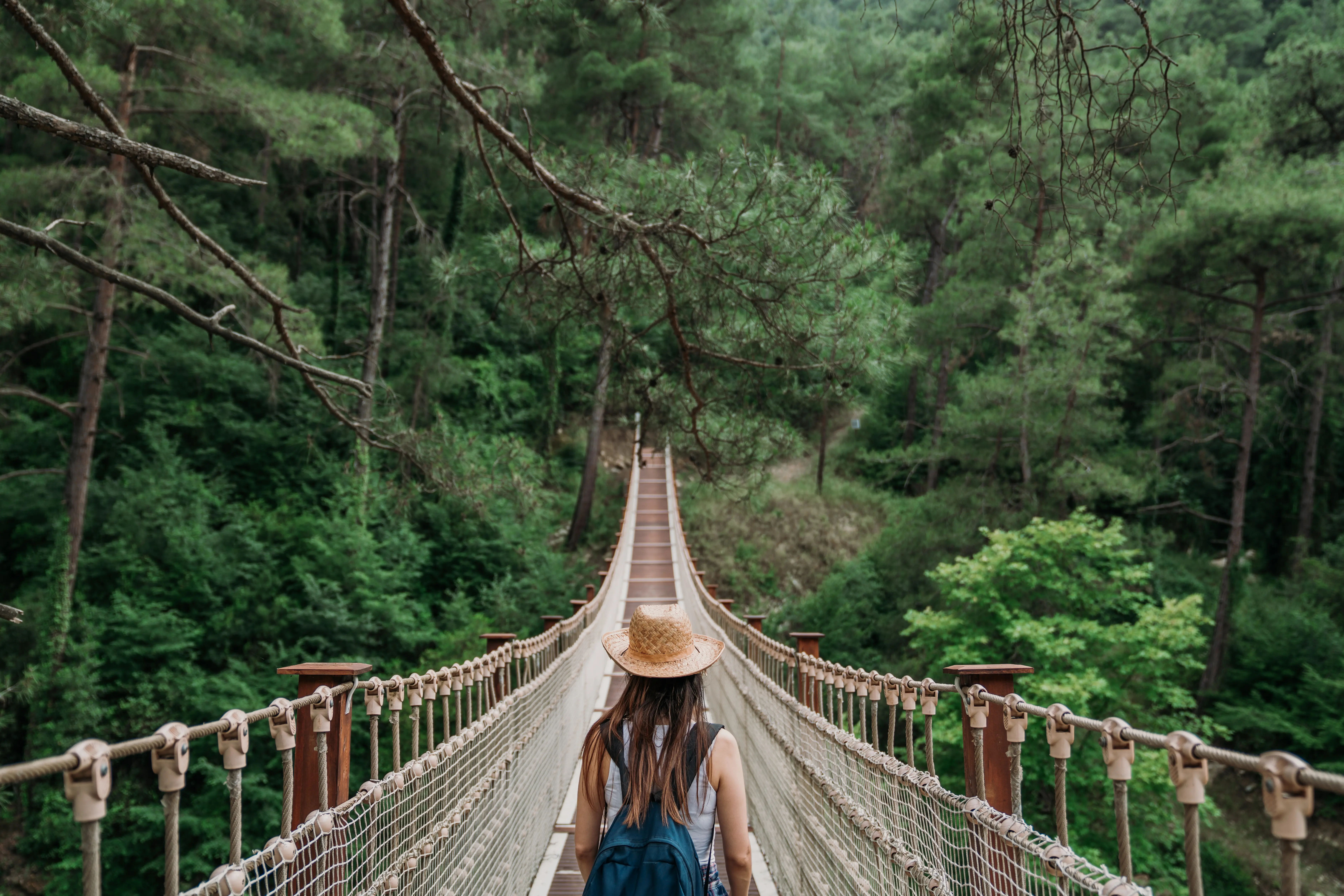 Suspension bridge stretching through a lush landscape, evoking adventure and destination discovery